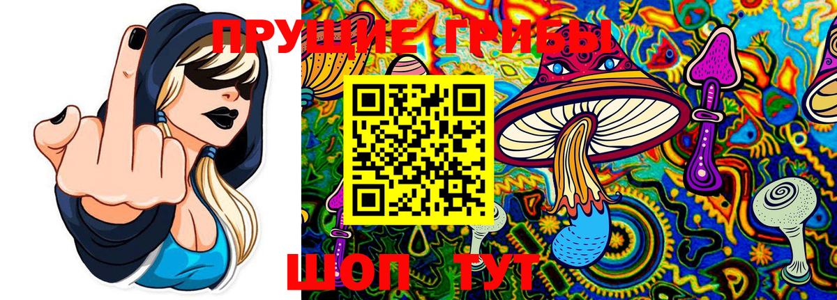 Псилоцибиновые грибы прущие грибы  Вход с VPN  Екатеринбург  Галлюциногенные грибы Psilocybe 