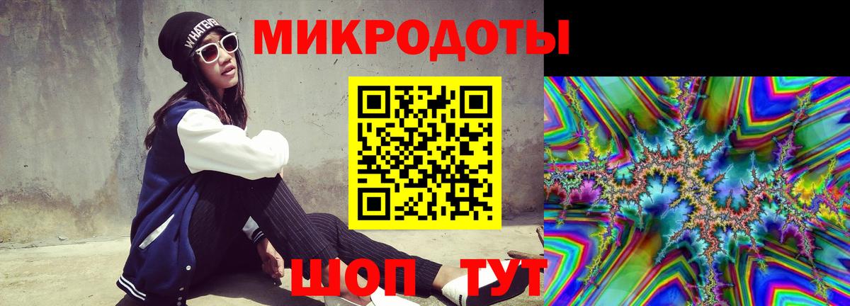 Галлюциногенные грибы Psilocybe Екатеринбург